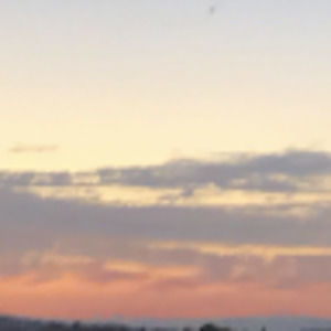 Meet your Posher, Natasha